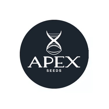 Apex Seeds Autoflower-Samen