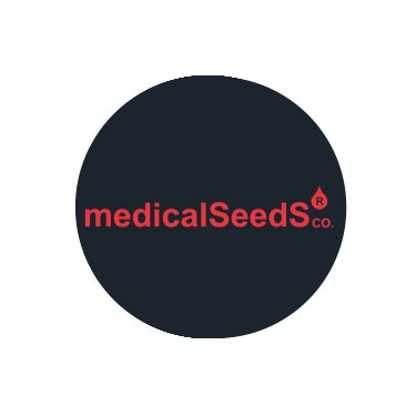 Selbstblühende Samen von Medical Seeds