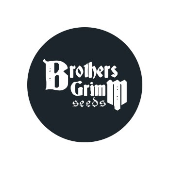 Brothers Grimm Seeds Reguläre Samen