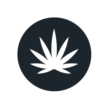 Sativa-Samen