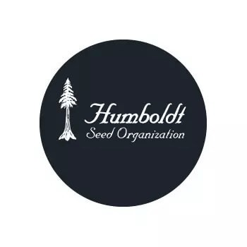 Humboldt Seed Organization Reguläre Samen