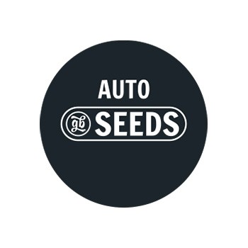 Lose Autosamen