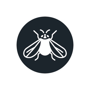 Insektizid gegen Weiße Fliege