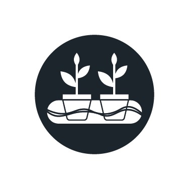 Kit cultivo hidropónico completo