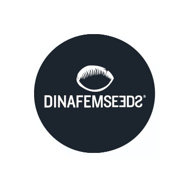 Dinafem Autoflowering Samen